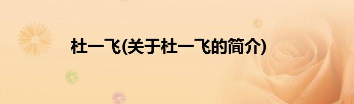 杜一飞(关于杜一飞的简介)