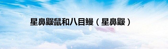 星鼻鼹鼠和八目鳗（星鼻鼹）