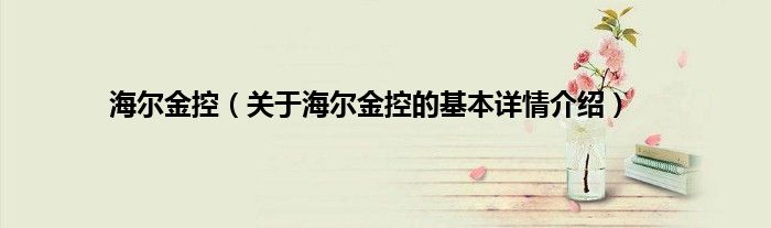 海尔金控（关于海尔金控的基本详情介绍）