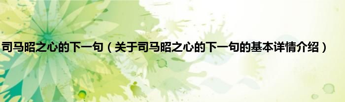 司马昭之心的下一句（关于司马昭之心的下一句的基本详情介绍）